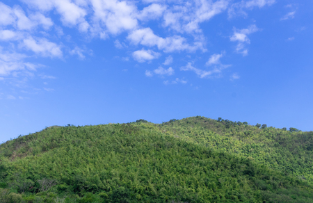 bright green mountain against blue sky with copy space on skyの写真素材