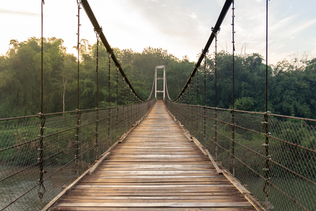 soft focus Wooden Bridge along the river to green forestの写真素材