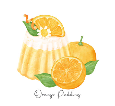 Homemade oragne pudding jelly with fruits composition watercolour illustration vector banner isolated on white background.の写真素材