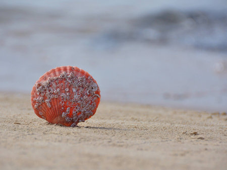 Seaside