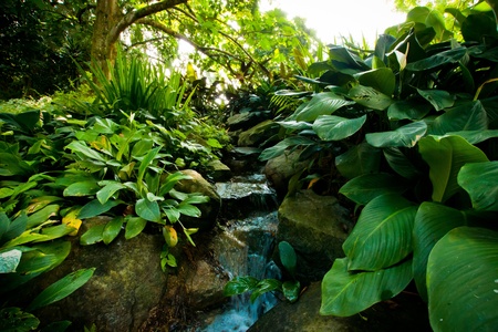 Small stream through natureの写真素材