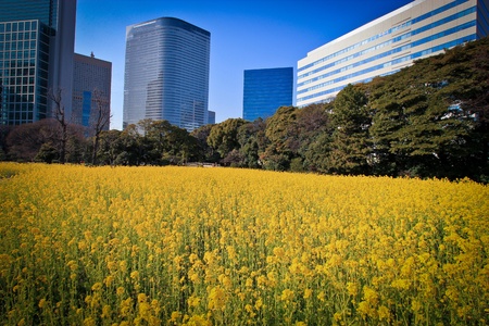 Nature co-existing with the urban worldの写真素材