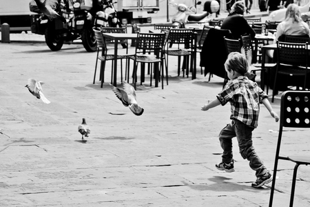 Boy chasing pigeons in black and whiteのeditorial素材