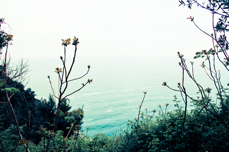 Grass and the sea over looking a cliff
