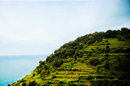 A green grassy hill with the sky in the backgroundのeditorial素材