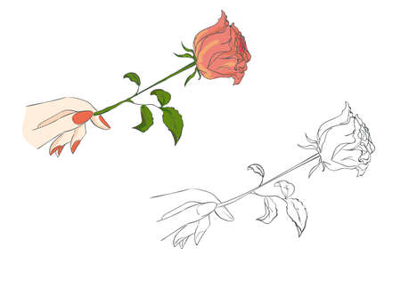 Fashionable illustration hand with roseのイラスト素材