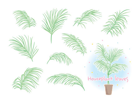 Leaf material of houseplants that can be combinedのイラスト素材