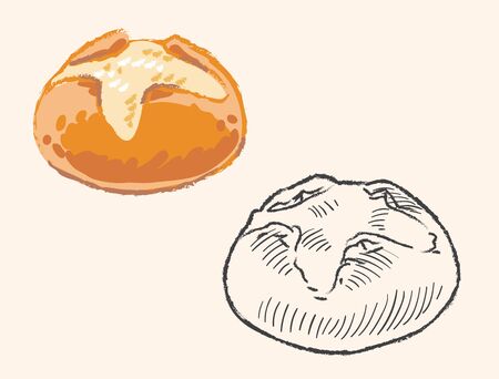 Fresh boule, round bread. Vector illustration.のイラスト素材