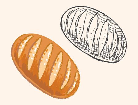 Vector illustration of long loaf. Color and black line sketch.のイラスト素材