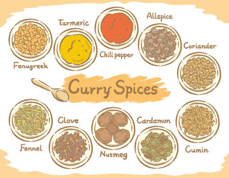 Spices in dishes for curry or Indian cuisine. Vector illustration.	のイラスト素材