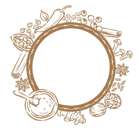 Spices for curry or Indian cuisine. Cinnamon, cardamon, coriander, chili, onion, fenugreek, allspice, clove, star anise, nutmeg, cumin, ginger. Vector illustration.のイラスト素材