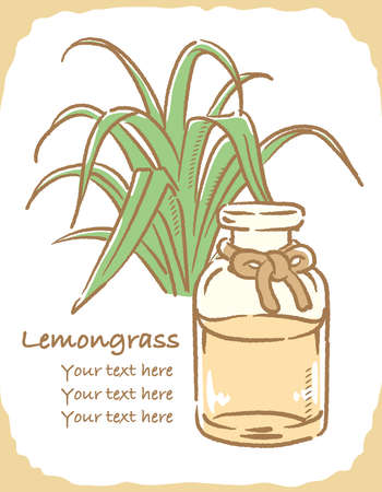 Illustration of lemongrass and aromatherapy bottle. Vector illustration.のイラスト素材