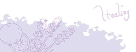 Banner with essential oil plants. Lavender and orange.  Vector illustration.のイラスト素材