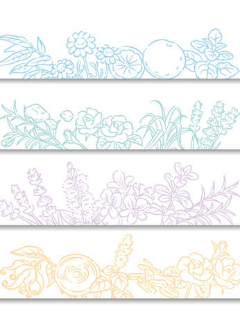 Set of banners or bancgrounds. Popular essential oil plants. Vector illustration.のイラスト素材