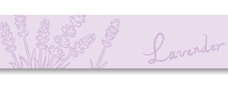 Banner with lavender flowers. Vector illustration.のイラスト素材