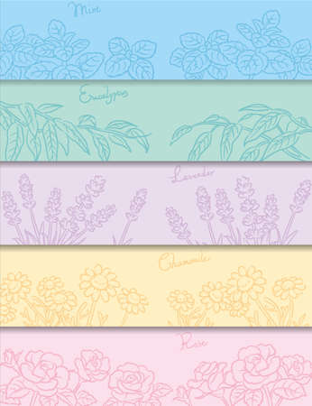 Banners or backgrounds with popular essential oil flowers and herbs. Vector illustration.のイラスト素材