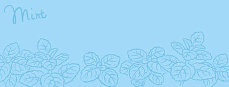 Banner or background with mint leaves. Vector illustration.のイラスト素材