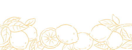 Banner with lemons and leaves. Vector illustration.のイラスト素材