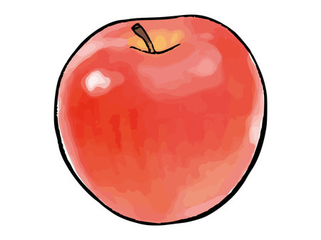 apple watercolor vector illustrationのイラスト素材