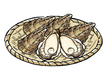 oyster watercolor vector illustrationのイラスト素材