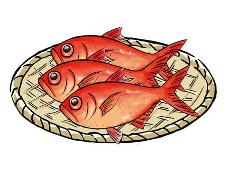 Splendid alfonsino watercolor vector illustrationのイラスト素材