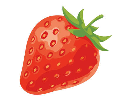 Fresh strawberries vector illustrationのイラスト素材