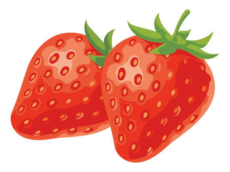 Fresh strawberries vector illustrationのイラスト素材