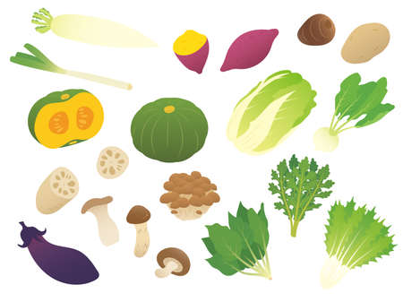 Autumn and winter vegetablesのイラスト素材
