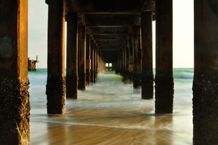 Wood bridge in the seaの写真素材