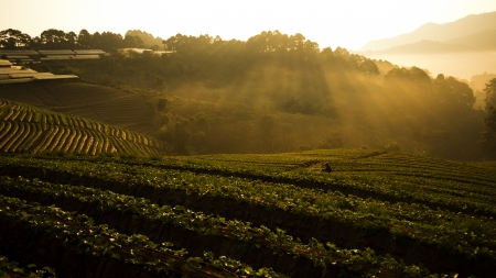 Amazing View of Doi Ang Khang , Chiang Mai, Thailand の写真素材
