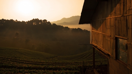 Amazing View of Doi Ang Khang , Chiang Mai, Thailand の写真素材