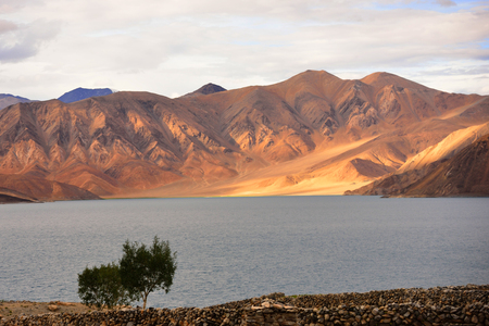 Pangong lake with clear blue skyの写真素材