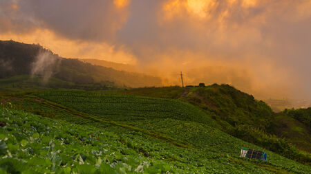 Summer landscape in the mountains  Sunrise