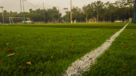 Soccer Field with white lineの写真素材