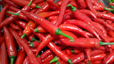 Red Chillies Background,Selective focusの写真素材