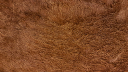 Closed up brown carpet texture.
