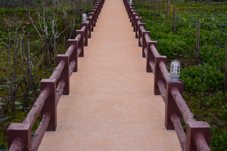 Concrete walkway in the water parkの写真素材