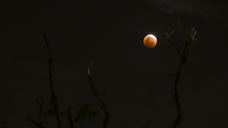 31 Jan 2018 - Bloody moon phenomena at night , Thailand