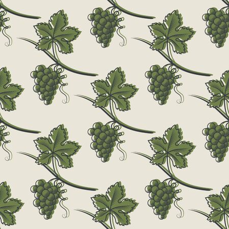 Seamless Pattern of Green Grape.のイラスト素材
