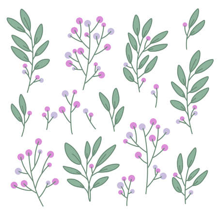 Branch and leaves vector setのイラスト素材