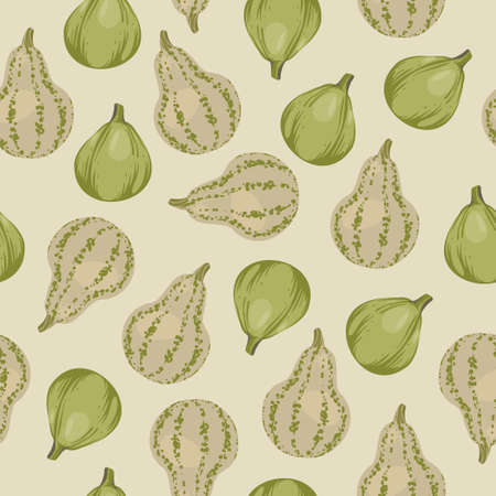 Seamless pattern of beige and green pumpkins. Hand draw vector cartoon. Fall and halloween decoration. vector vegetable illustration.のイラスト素材