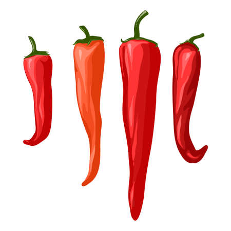 Red hot chili peppers. vector illustration. hand drawing.のイラスト素材