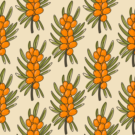 Seamless pattern with doodle sea buckthorn branch. Vector orange berry.のイラスト素材