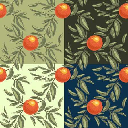Set of seamless pattern with oranges branch. Fruit