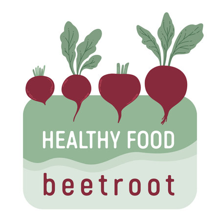 Beet. Red beetroot with leaves. Healthy foodのイラスト素材