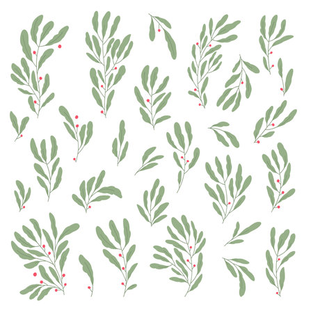 Set different elegant green branch, seeds, leavesのイラスト素材
