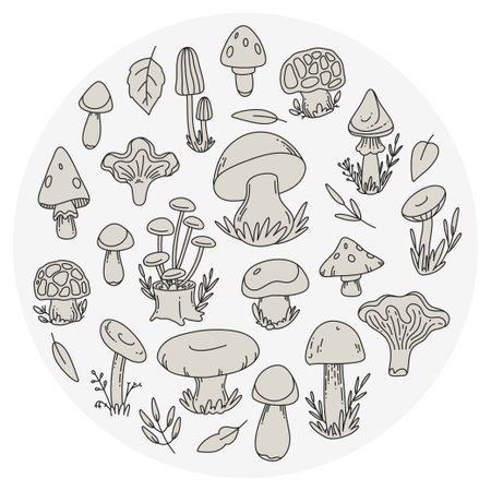 Mushroom set illustrations in circle, roundのイラスト素材