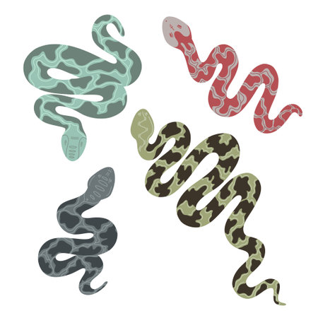 Vector set of python. Isolated tropical snakesのイラスト素材
