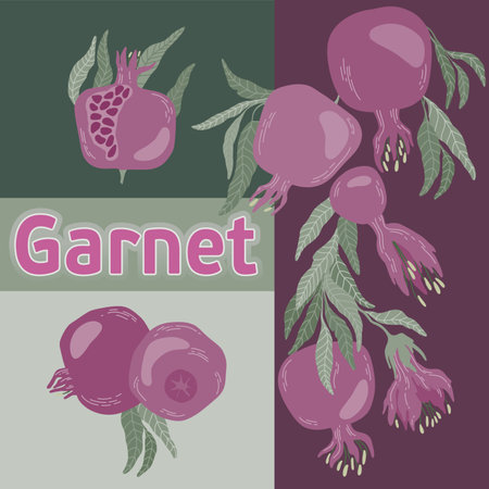 Hand drawn poster pomegranate fruits. Garnet pinkのイラスト素材