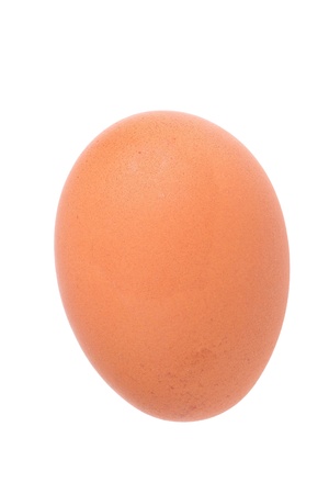 Egg on a white background.の写真素材